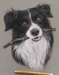 Dog portrait by Linanimalart