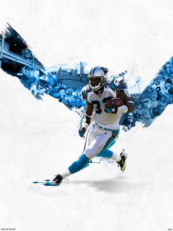 Carolina Panthers Large Art