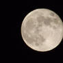 Full Moon Two