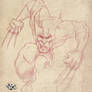Wolverine Sketch 