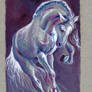White Horse Jumping