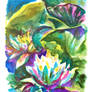 Shiny Lotus 02