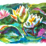 Shiny Lotus 01
