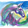 Long Shiny Horse