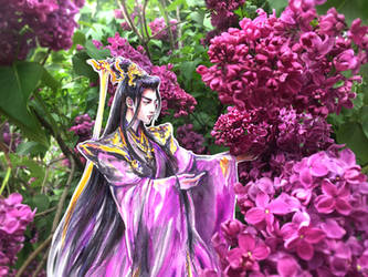 Tantai Jin Amidst Burgundy Purple Lilacs