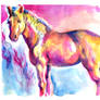 Horse with White Mane