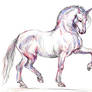 Steed Sketch