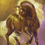 Chocolate Coloured Steed