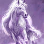 Lilac Steed
