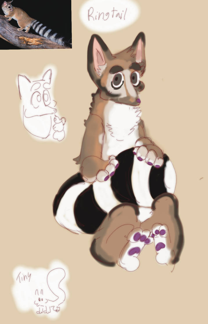 Deviantart Ringtail Ringtail by B0ngwat33r on DeviantArt