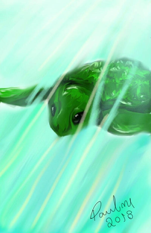 Deviantart Softshell Turtle Sea turtle by Devaneiodetinta on DeviantArt