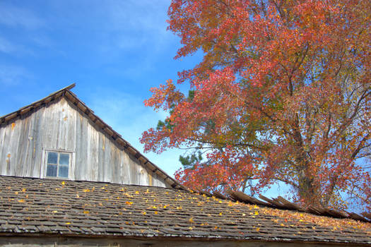 Fall in January