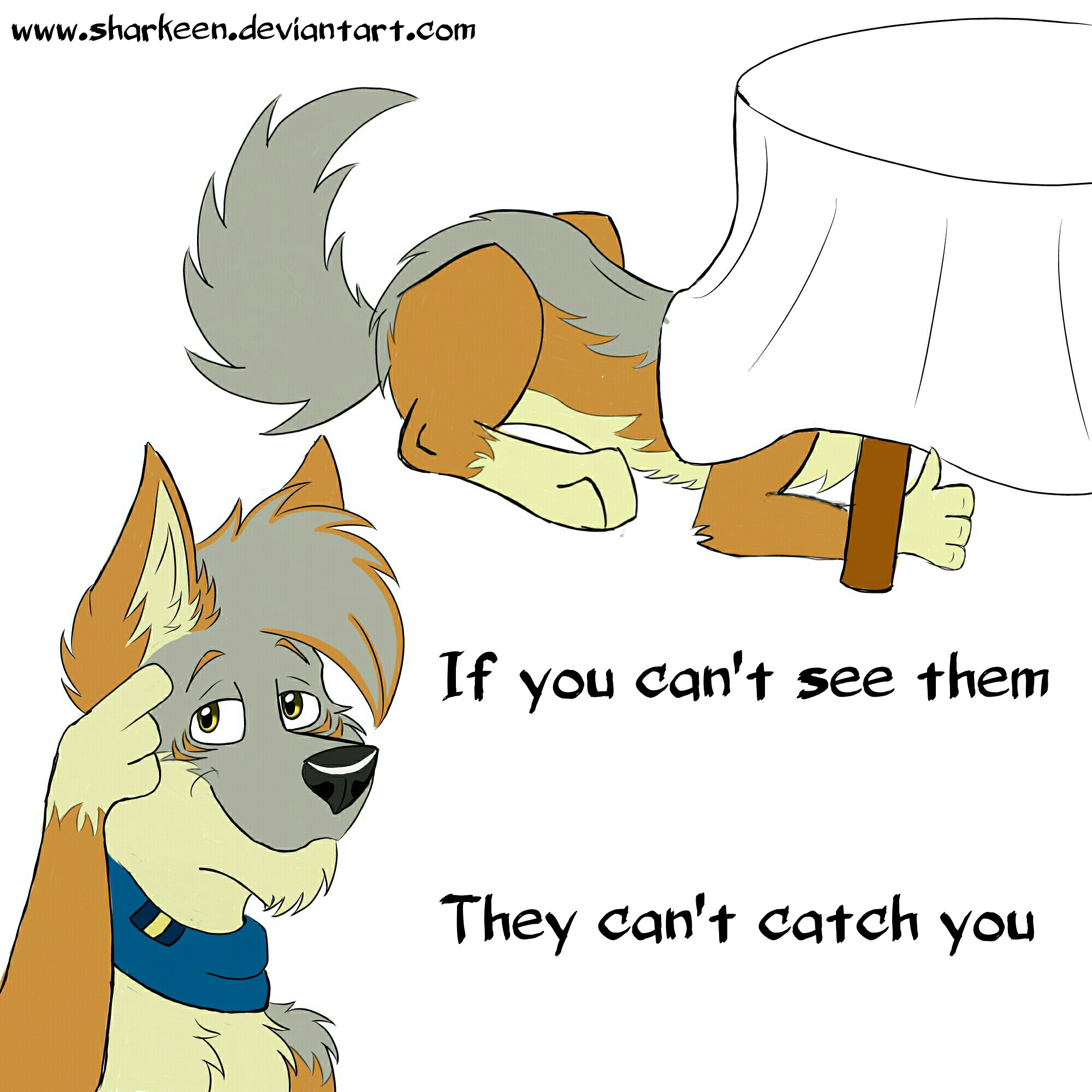 Canine logic!