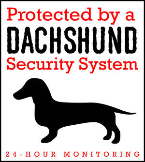 Dachshund Security System