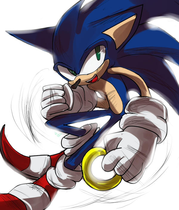 Sonic the hedgehog