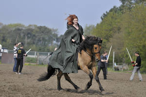 horse love riding