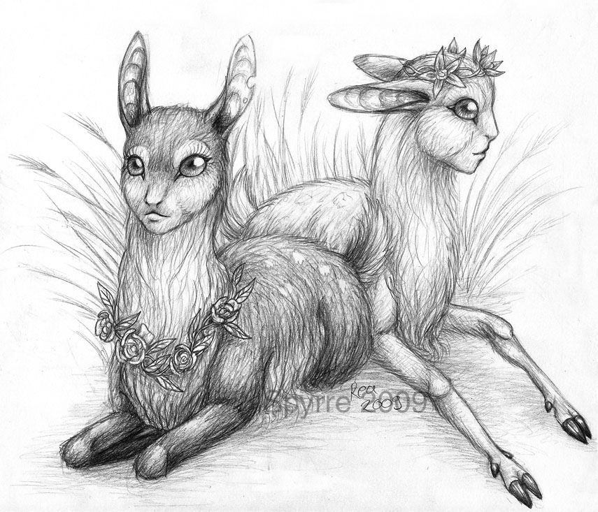TEF: Fawns