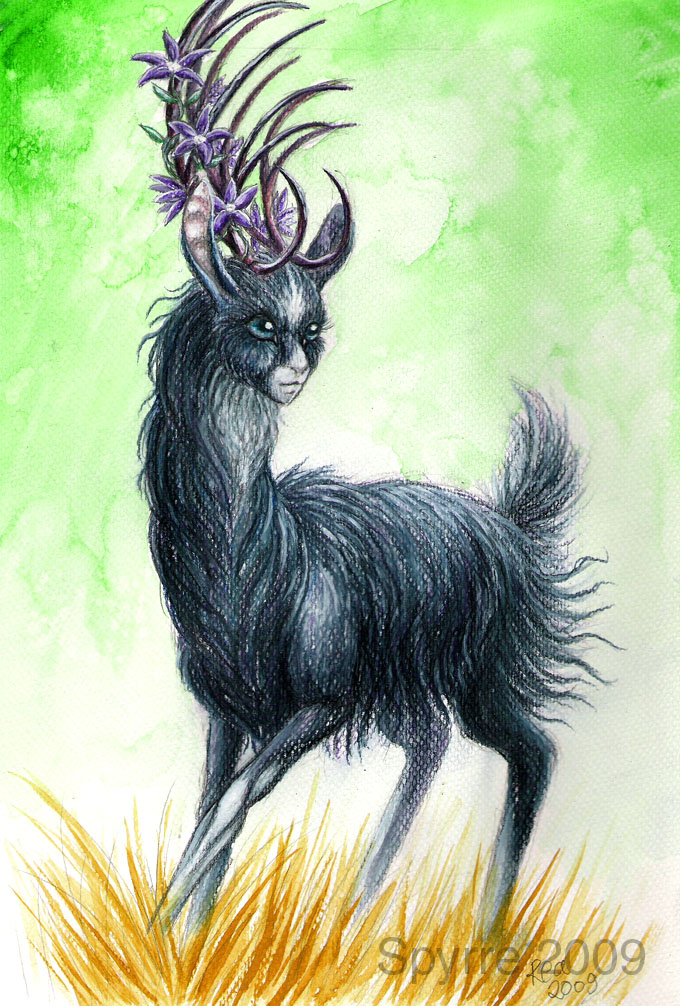 TEF: Black beauty