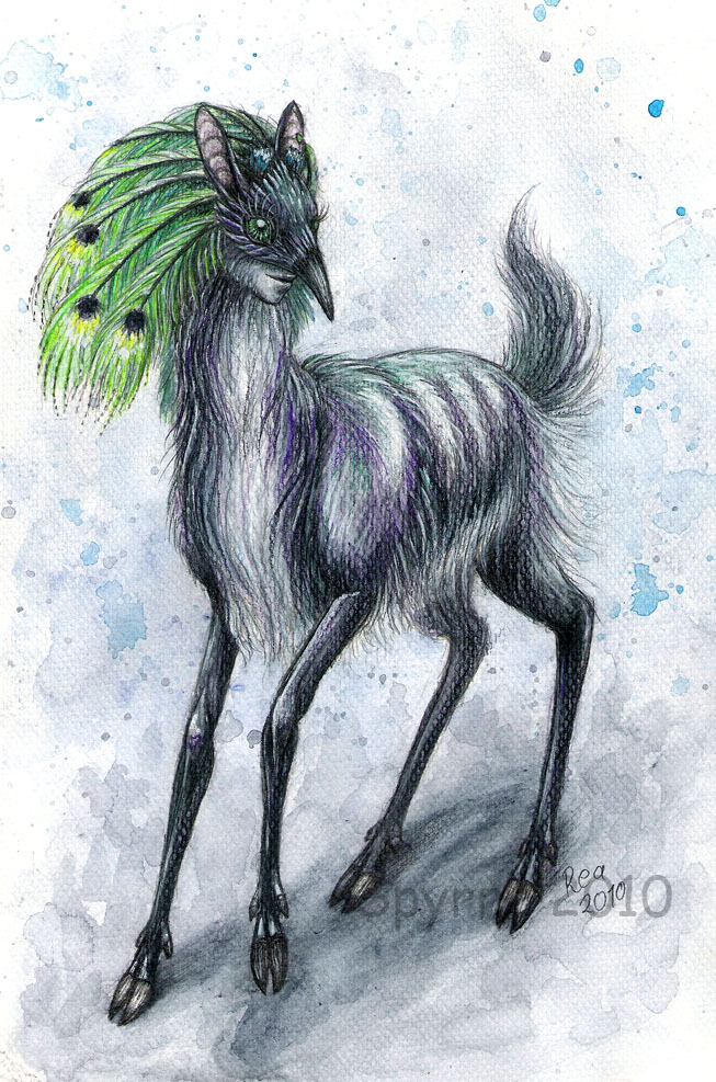 TEF: Bird deer