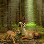 Another TEF-photo manipulation