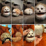 Fizzgig -doll
