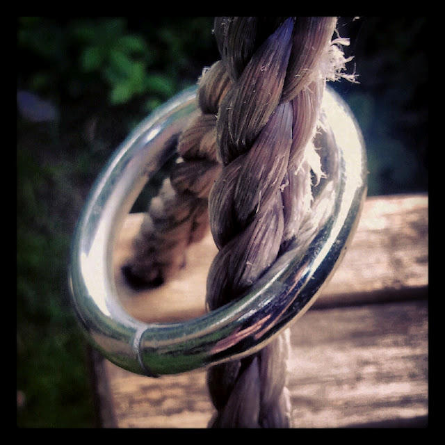 Shiny Rage Ring Shiny ring by Alraerir on DeviantArt