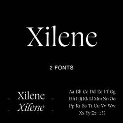 Xilene - Elegant Serif Typeface