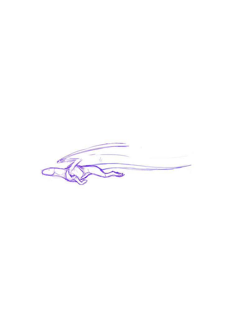 Flight animation 3 by Qwiven on DeviantArt