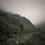 irish landscape with sheep