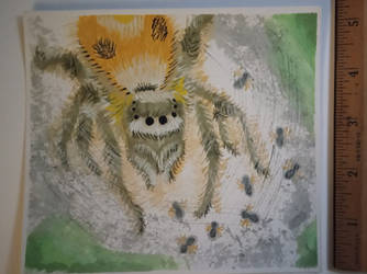 Painting of Jumping Spider with spiderlings