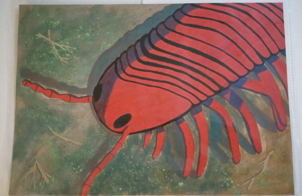 Millipede painting, water color on cardstock