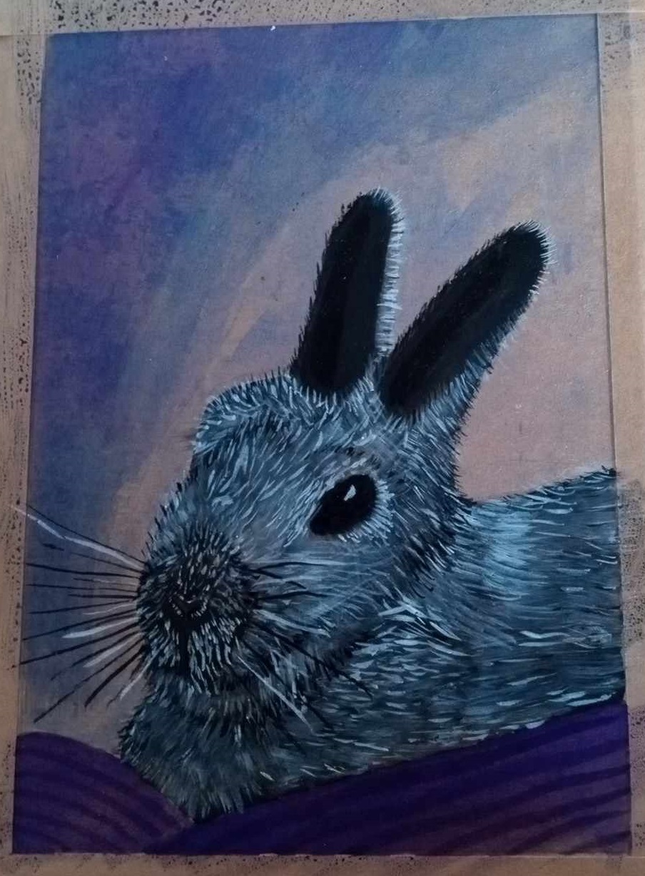 Rabbit commission - Sold