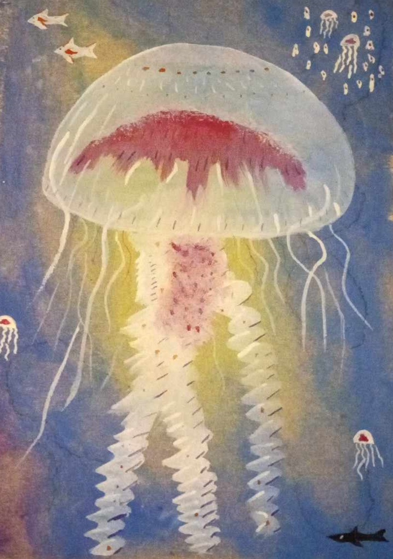 Jellyfish