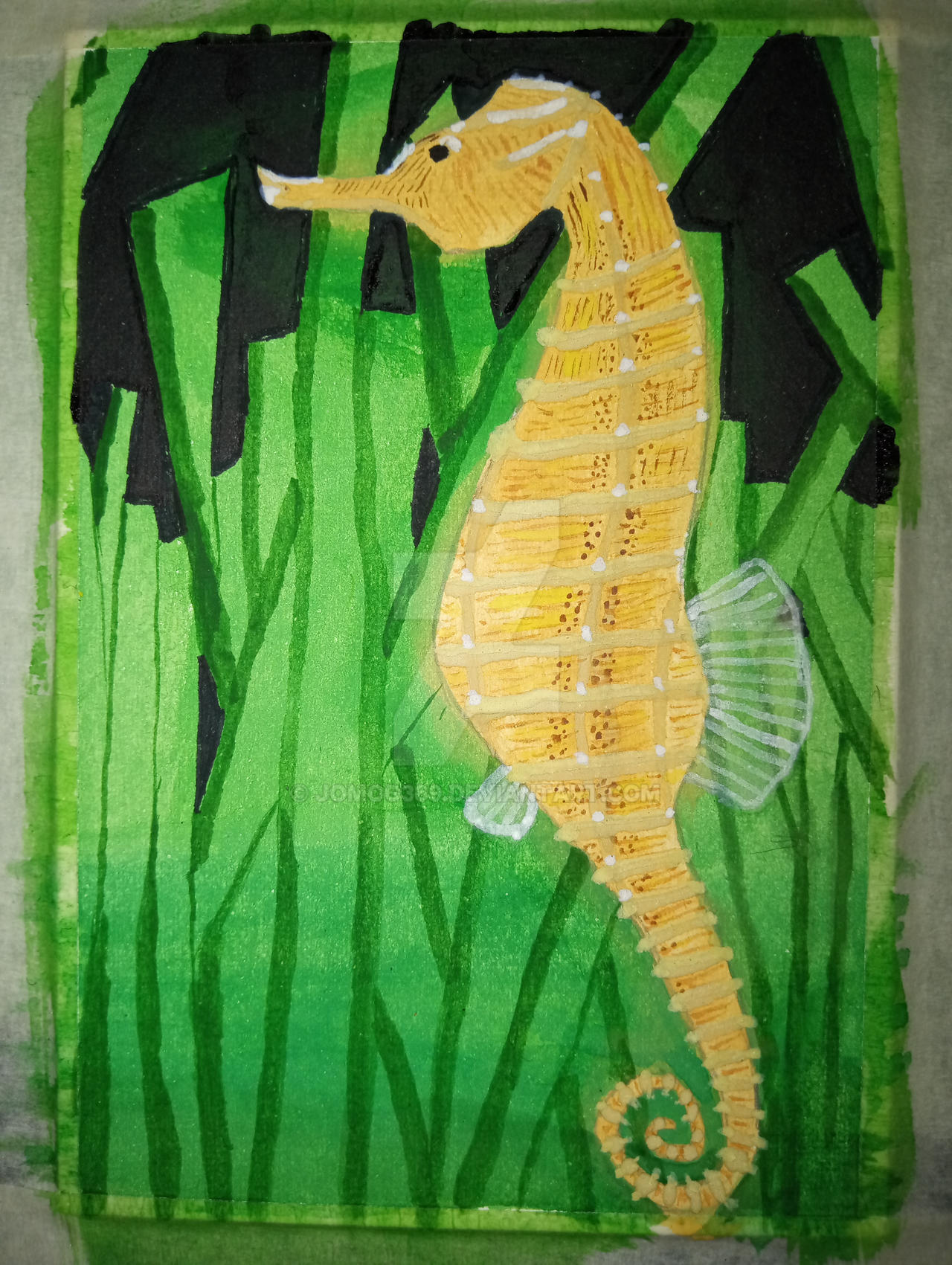 Seahorse