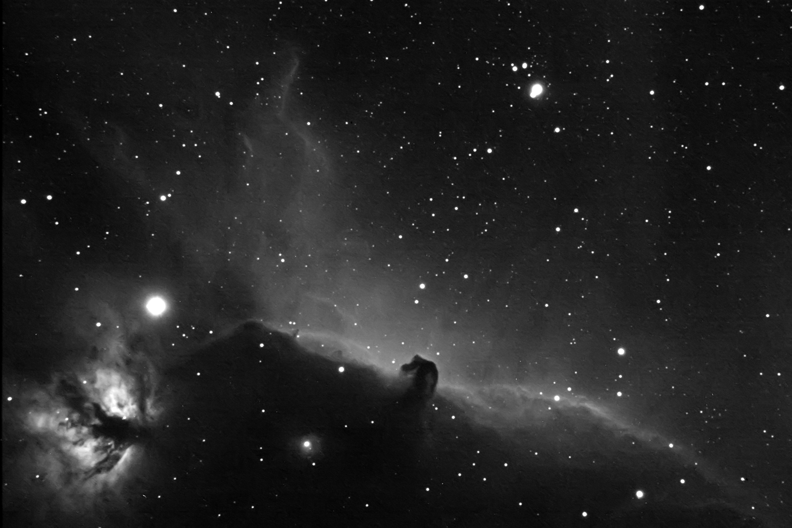 HorseHead nebula