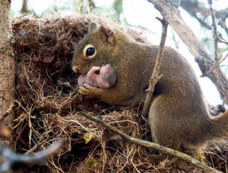 Mommy and Baby