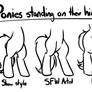 ponies standing on their hind legs