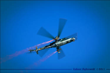 AirShow 2011 11