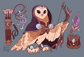 Barn Owl Ranger