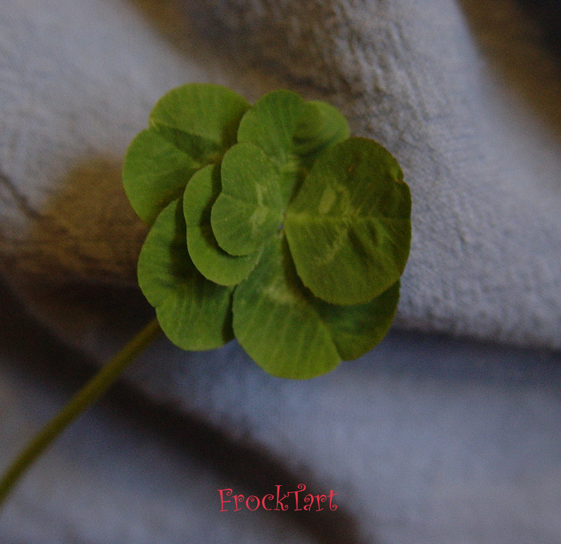 Seven Leaf Clover By FrockTarts On DeviantArt seven-leaf-clover-by-frocktarts-on-deviantart