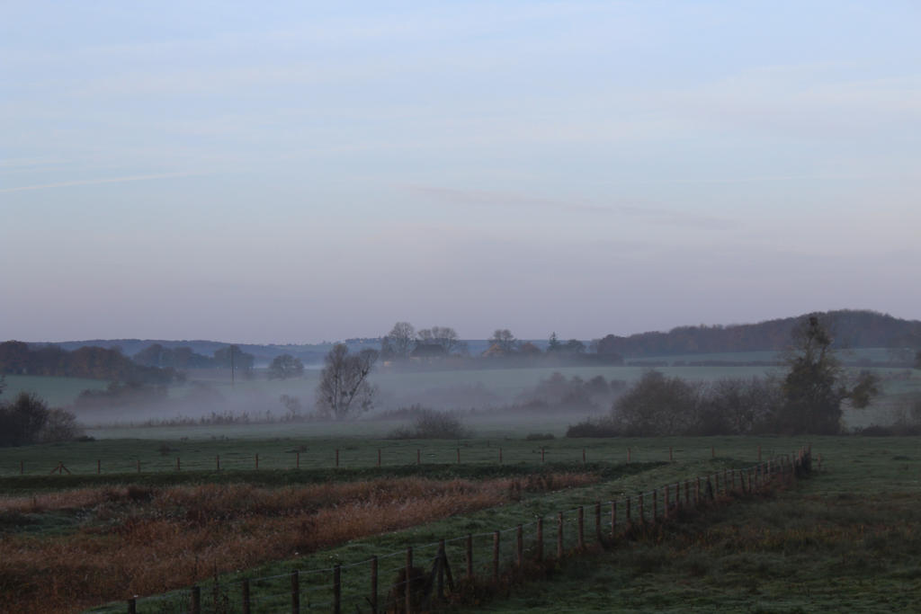 misty morning 1