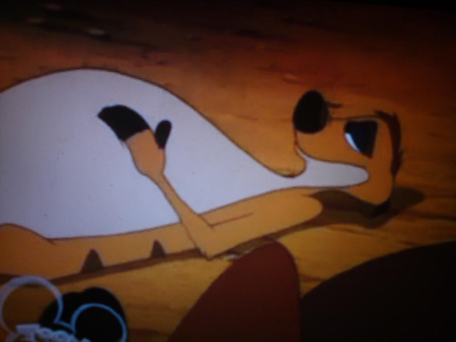 Fat Timon Fat TIMmon by naruto3ever on DeviantArt