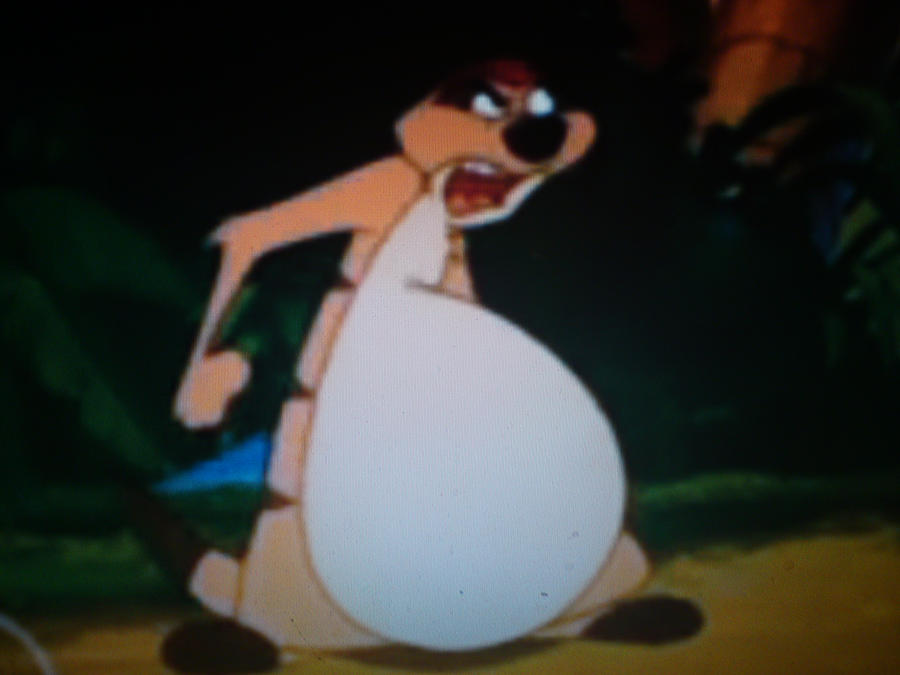 angry fat Timon by naruto3ever on DeviantArt