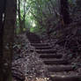 Steps