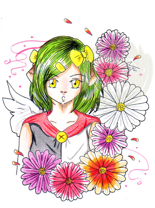 Challenge 3 - Chrysanthemum
