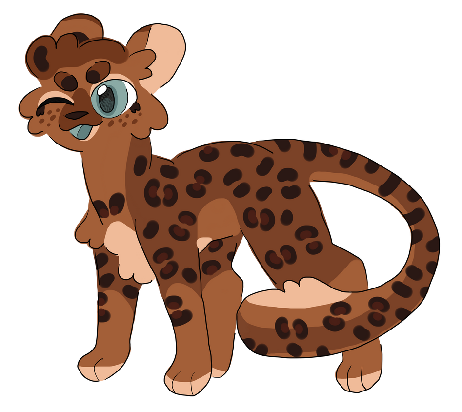 leopard's rosette by Kayroh on DeviantArt