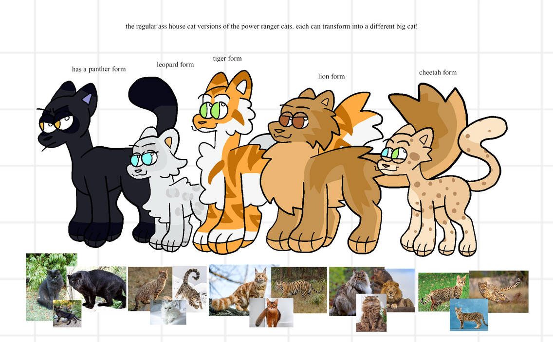 Power Ranger Cat Hero more of the power ranger cats by Kayroh on DeviantArt