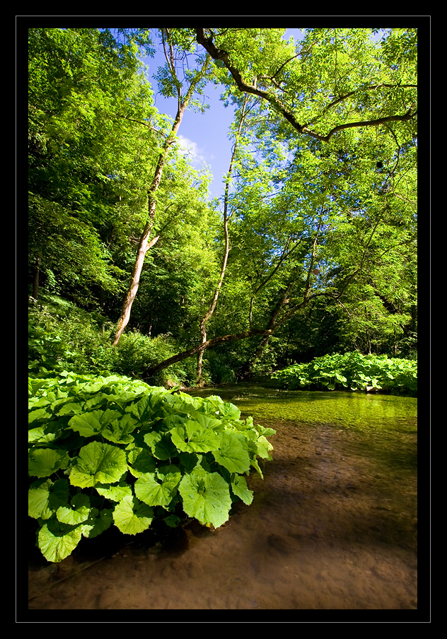 Dovedale