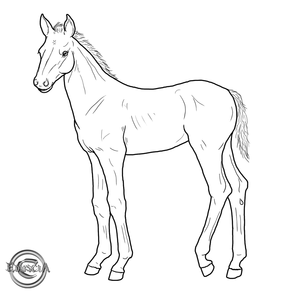Filey Line Drawing Free filly lineart by Eduscia on DeviantArt