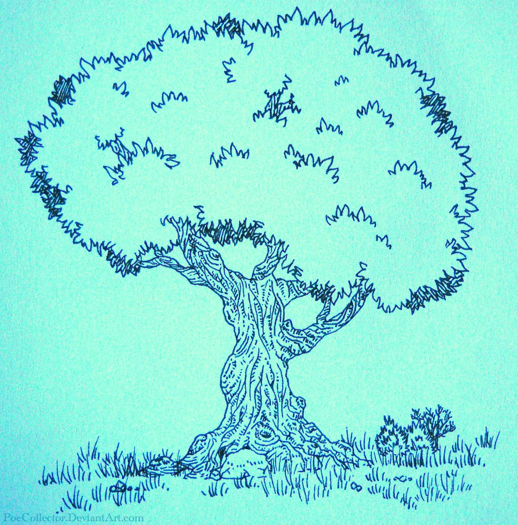 Tree sketch